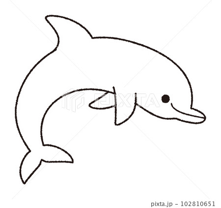 Dolphin sea animal sketch hand drawn in doodle Vector Image