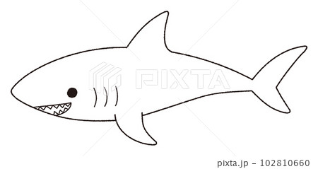 サメのベクター線画イラスト 102810660