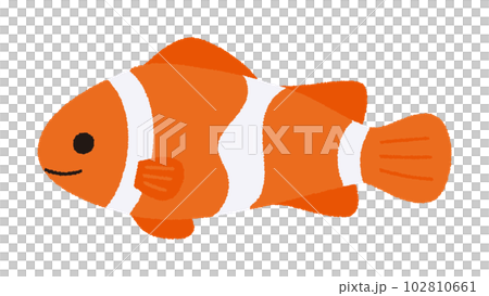 矢量圖的小丑魚 102810661