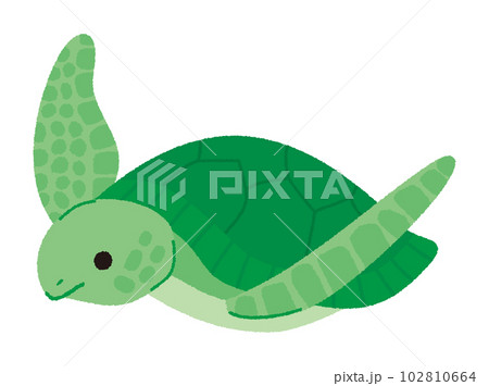ウミガメのベクターイラスト 102810664