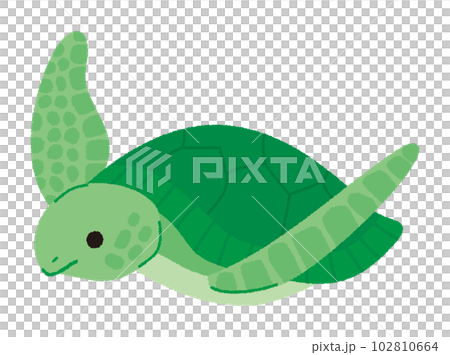 ウミガメのベクターイラスト 102810664