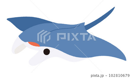 マンタのベクターイラスト マンタのベクターイラスト 102810679