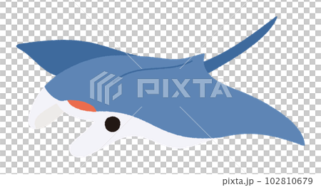 マンタのベクターイラスト マンタのベクターイラスト 102810679