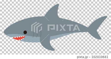 鯊魚矢量圖 102810681