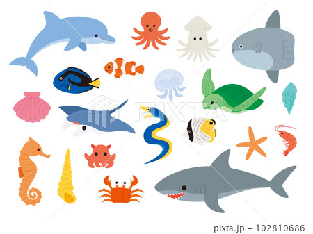 海の生き物・魚のベクターイラスト 海の生き物・魚のベクターイラスト 102810686