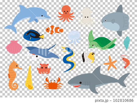 海洋生物和魚類的矢量圖解 102810686
