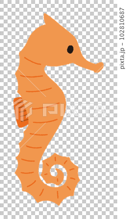 矢量圖的海馬 102810687