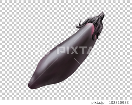 つややかでリアルな中長ナスの水彩イラスト つややかでリアルな中長ナスの水彩イラスト 102810988