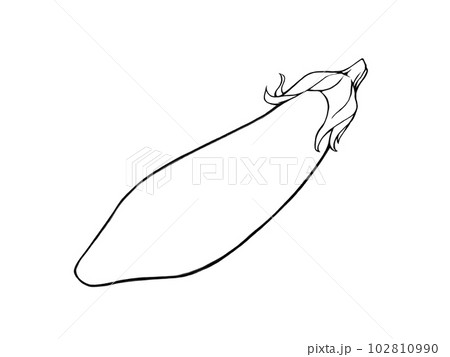中長ナスのシンプルな線画イラスト 中長ナスのシンプルな線画イラスト 102810990