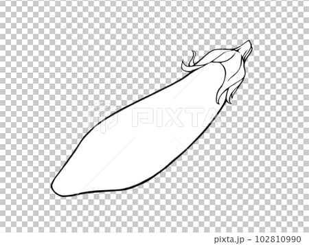 Simple line drawing illustration of medium-length eggplant Simple line drawing illustration of medium-length eggplant 102810990