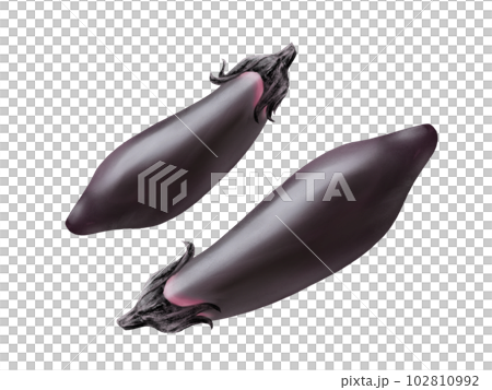 Glossy and realistic watercolor illustration of two medium-length eggplants Glossy and realistic watercolor illustration of two medium-length eggplants 102810992