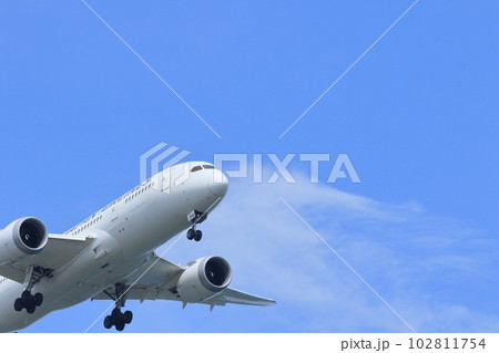 空の旅　青空に上昇する旅客機 102811754