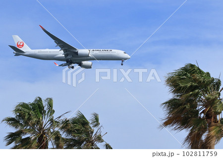 空の旅　青空に上昇する旅客機 102811759