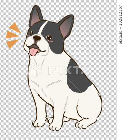 Rejoice French Bulldog (Pide) 102812367