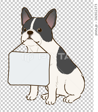 French bulldog (pied) with a message board 102812373