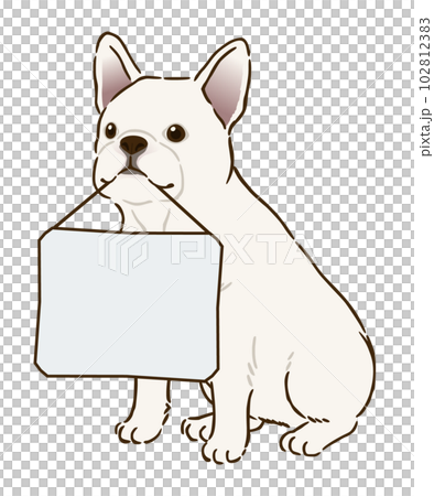 メッセージボードを持つフレンチブルドッグ（ホワイト）のイラスト素材
