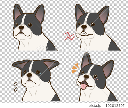 法國鬥牛犬情緒集(花色) 法國鬥牛犬情緒集(花色) 102812395