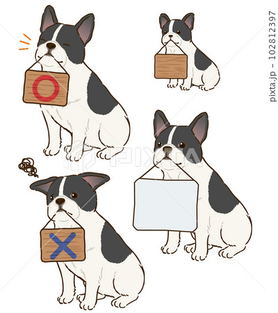 看板を咥えるフレンチブルドッグ（パイド） 102812397