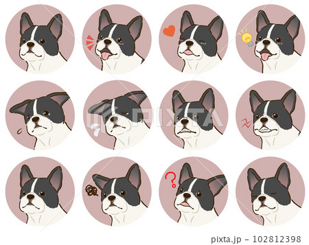 フレンチブルドッグの表情アイコンセット（パイド） 102812398