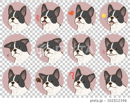 フレンチブルドッグの表情アイコンセット（パイド） 102812398