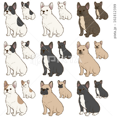 色々な毛色のフレンチブルドッグ 102812399