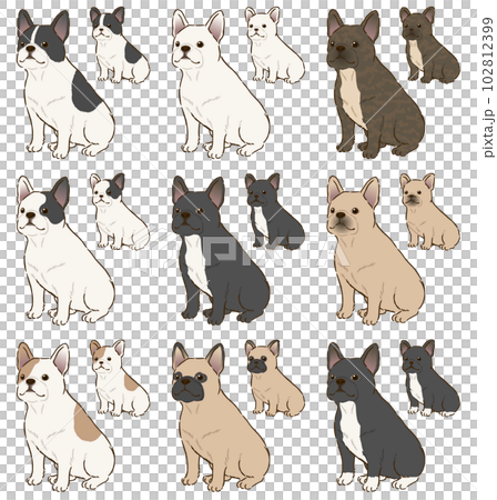 色々な毛色のフレンチブルドッグ 102812399