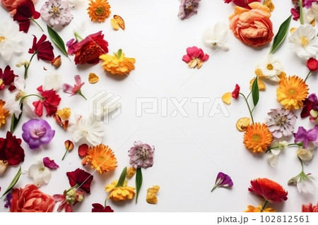 white spring summer background flower leaf...のイラスト素材 [102812561] - PIXTA