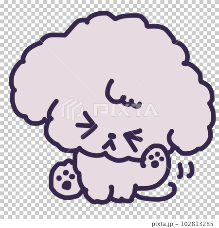 一隻可愛的玩具貴賓犬抓耳朵的插圖 一隻可愛的玩具貴賓犬抓耳朵的插圖 102813285