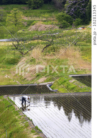 230513瓜巣g009 230513瓜巣g009 102813345