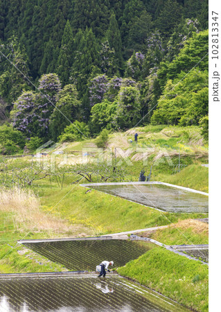 230513瓜巣g001 102813347