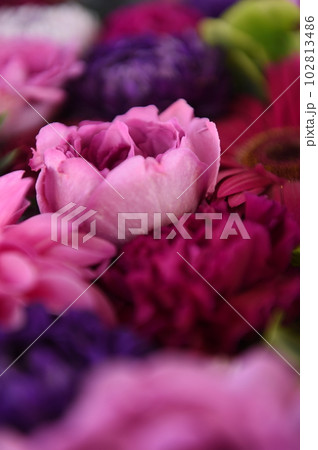 花 102813486