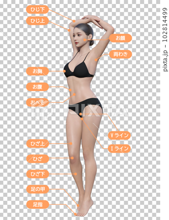 脱毛の背術箇所が記載された全身正面の3Dモデル女性のイラスト 102814499