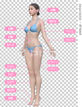 脱毛の背術箇所が記載された全身正面の3Dモデル女性のイラスト 102814502