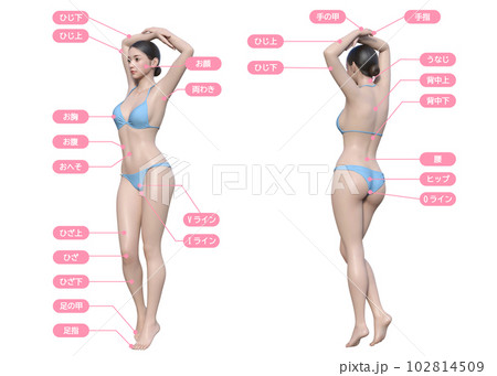 脱毛の背術箇所が記載された全身正面と後ろ向きの3Dモデル女性のイラスト 102814509