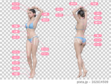 脱毛の背術箇所が記載された全身正面と後ろ向きの3Dモデル女性のイラスト 102814509
