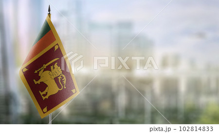 Small flags of the Sri Lanka on an abstract blurry background 102814833