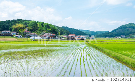 長閑な農村の風景 102814911