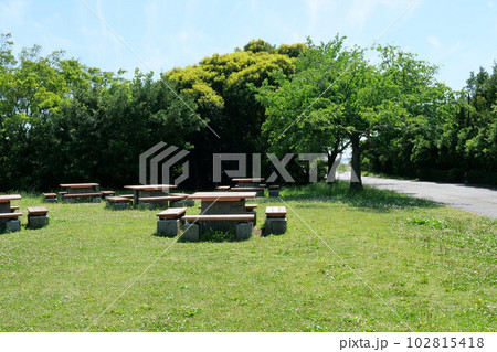 公園内に設置されたベンチとテーブル 公園内に設置されたベンチとテーブル 102815418