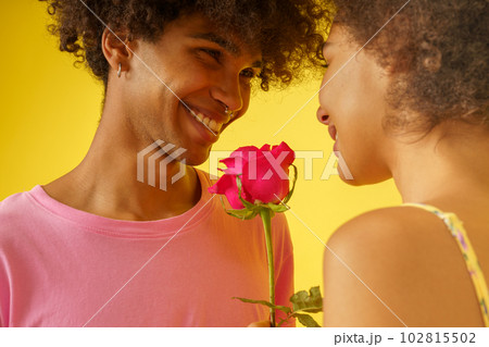 Happy romantic couple with a rose for valentine day Happy romantic couple with a rose for valentine day 102815502