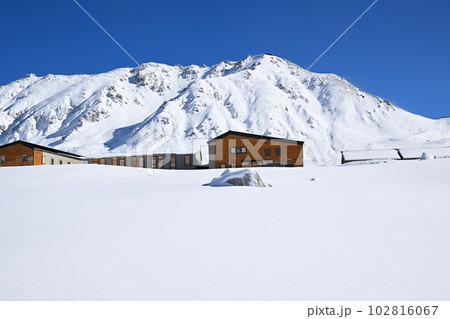 11月の立山と室堂山荘 102816067