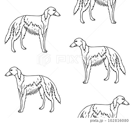 Vector seamless pattern of russian borzoi dog 102816080