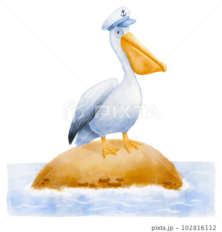 Pelican bird standing on island. Watercolor illustration isolated on white. Funny pelican with nautical captain hat. 102816112