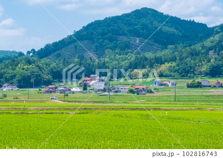 長閑な農村の風景 102816743