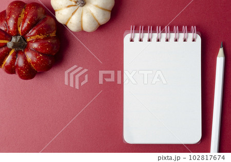 The Open blank piral notebook and wooden pencil with pumpkins on red cardboard. 102817674