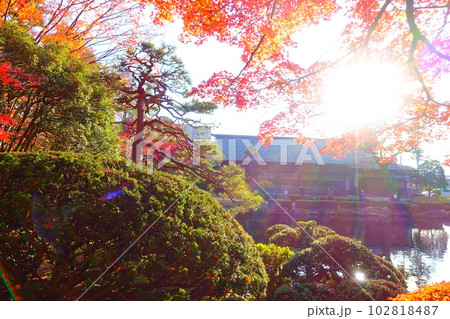 もみじ公園　紅葉　黄葉　山形市 102818487