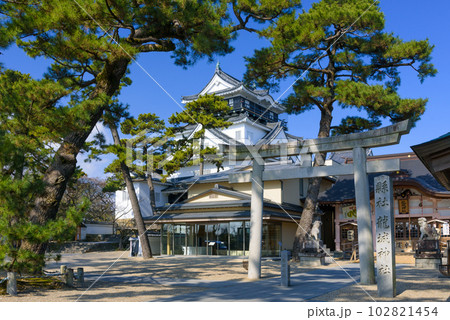 岡崎城 102821454
