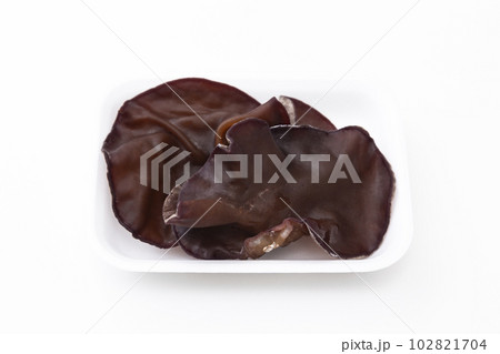 きくらげ　白バック 102821704