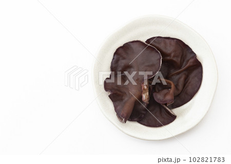 きくらげ 白バック きくらげ 白バック 102821783