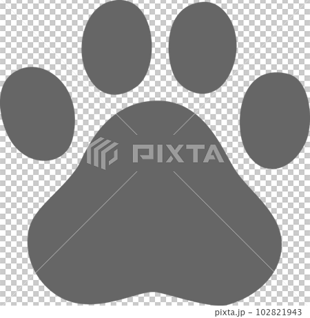 濃い灰色の犬の足跡 102821943