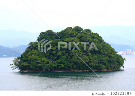 船から眺めた、舞鶴湾内の小島 102823597